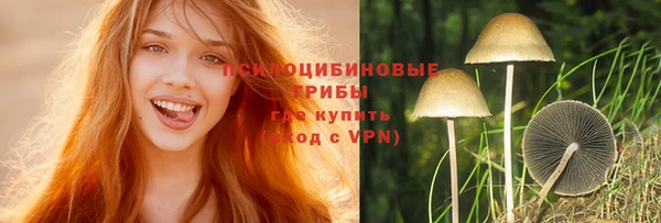гидропоника Алзамай
