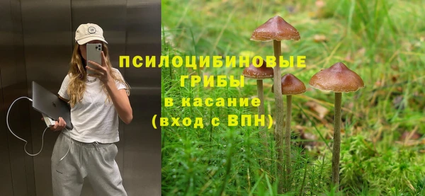 крисы Навашино