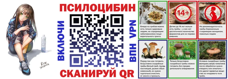 omg рабочий сайт  Камбарка  Псилоцибиновые грибы Cubensis 